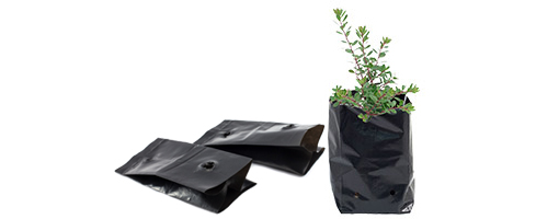 Agricultural seedling bags